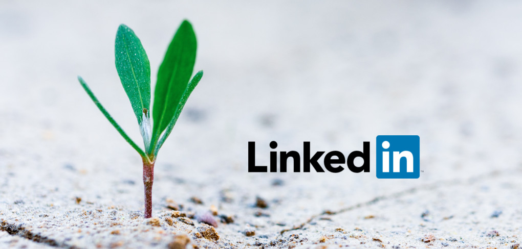 How to add a Certificate to LinkedIn